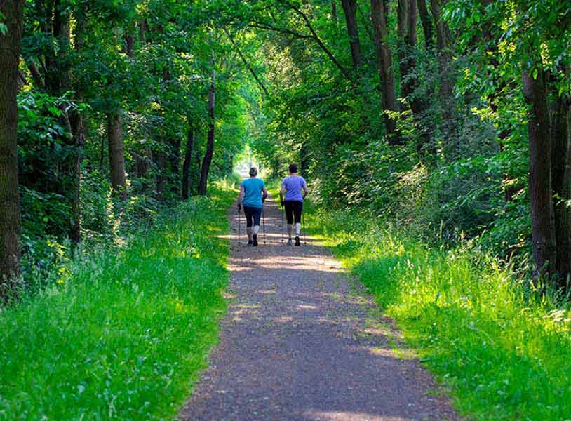 Nordic walking - active people working out in park